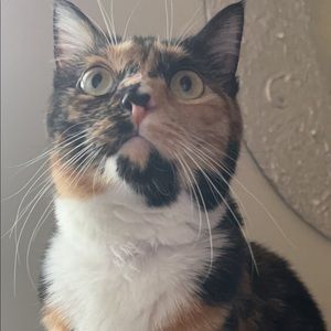 Meet your Posher, Carter